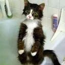 rolando blanco - @2007_blanco - Twitter