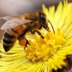 harry_tbit's profile picture. 