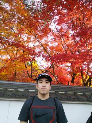 Called to serve in the Japan Sendai Mission 日本仙台伝道部に召されました