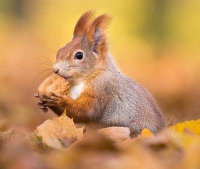 14Aigul's profile picture. ☆♡☆