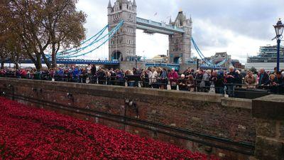 mrobo5532's profile picture. 