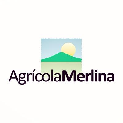 Servicios Agrícolas / Gestión de Fincas / Productores de Cereal / Productores de Espárrago Verde / Ingeniería Agrícola / Naves Agrícolas.