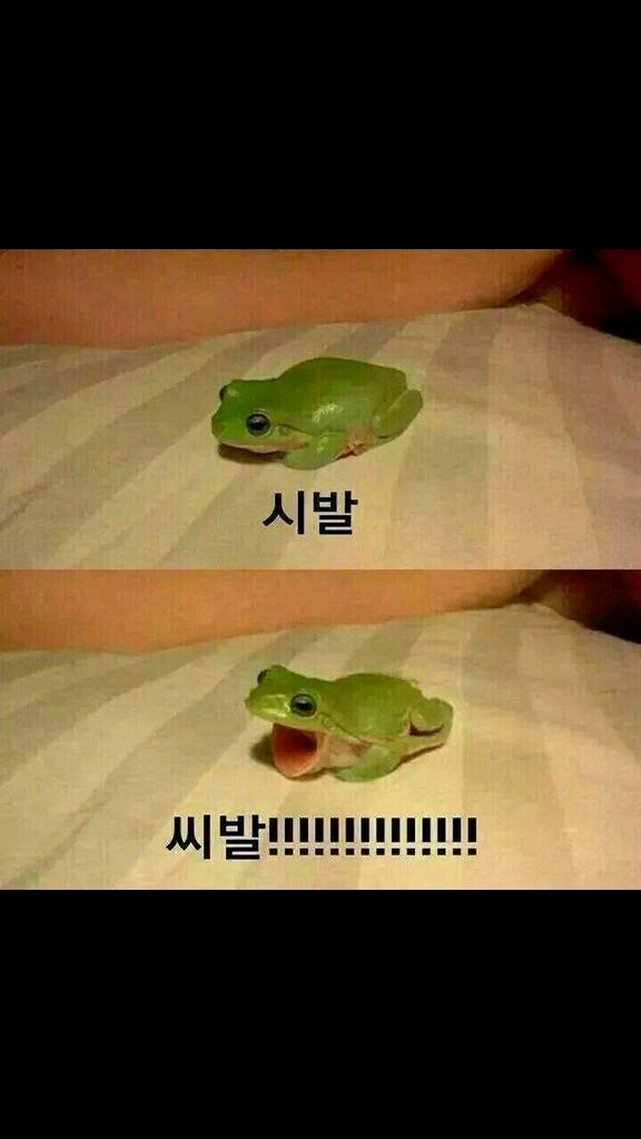K리그빠, 경남FC빠, 겸둥이동찬, [경남]만년우승,백돌이,등산/수영/골프/K리그 주말은 매우 바쁨