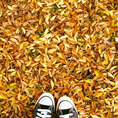 イロイロつぶやきます。