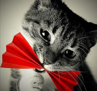 oUyeTmugXfXRI3B's profile picture. 