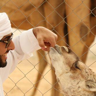 Bosaeedf's profile picture. ‏_

 كثر الحكي ما فيـه غيـر المضـرّه
والصمت به حكمه وهيبه ومقـدار
 
ما يندم العاقل على الصمت مـرّه
ويندم على كثر الحكي عدّة أمرار