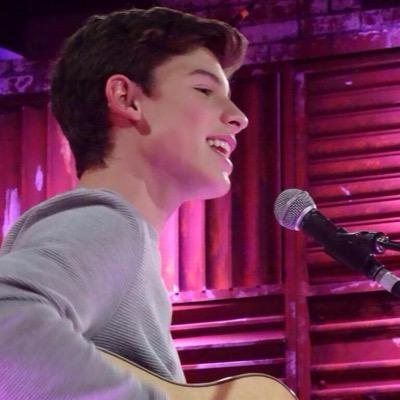 please follow @MENDESANTHEM & @monogrammendes :) they can help you with follows from the boys!