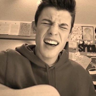 please follow @MENDESANTHEM & @monogrammendes :) they can help you with follows from the boys!
