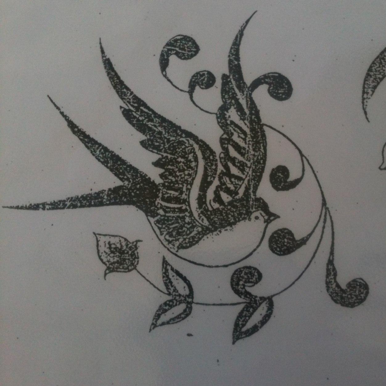 stornad's profile picture. 