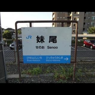 芝柏/W大/某社/サッカー用@noooooshin_95