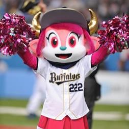 nasipa's profile picture. ツイッター初心者なので 色々失礼あったら申し訳ないです