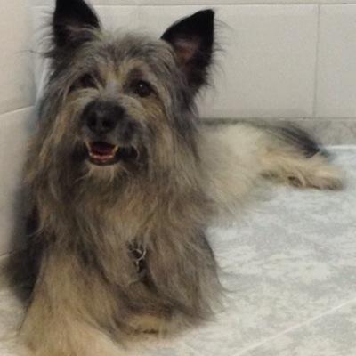 Socialista, feminista, valencianista y amante de los animales