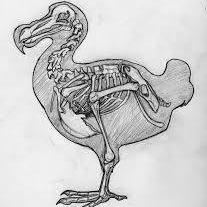 Art is not a dove, skylark or swallow. It does not sing or kiss the stars. It is extinct, but resurrecting. The Dodo is a publication of Warwick Writing Society