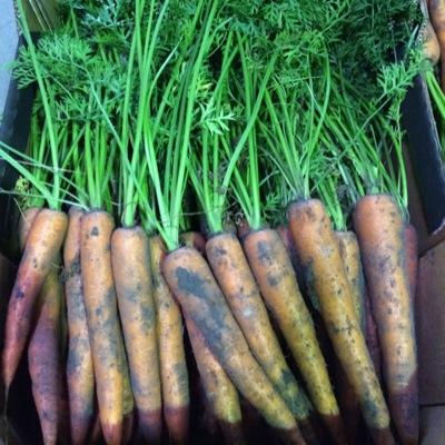 The UK's largest dedicated organic fresh produce wholesale business. Delivering throughout the UK.