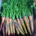 Langridge Organics (@langridgeorg) Twitter profile photo