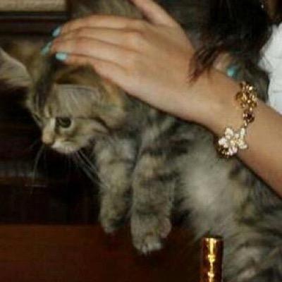 ‏قل عني ما تشاء لكن تذكر قول الله تعالى {مَا يلفظُ مِن قولٍ إِلا لديهِ رقيبٌ عتيد}.