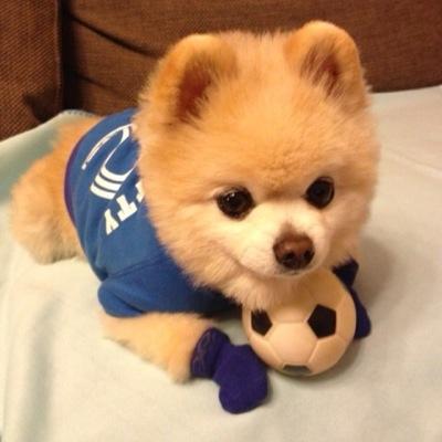 大阪で一人暮らししてます スポーツ観戦、お洒落な雑貨・カフェ巡り、可愛い女の子が大好きです♡