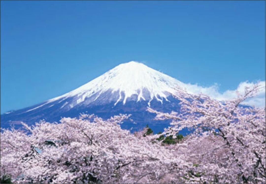 災難は試練だと思え。