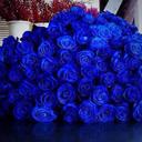 merna_khalid (@11dmKhalid) Twitter