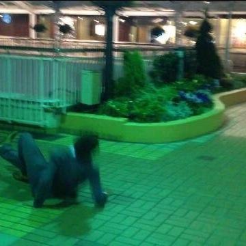 人気のパンダ 実力のたぬき