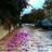 ahmedali9759's profile image