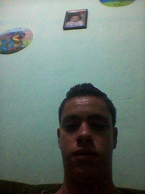 o mais gato