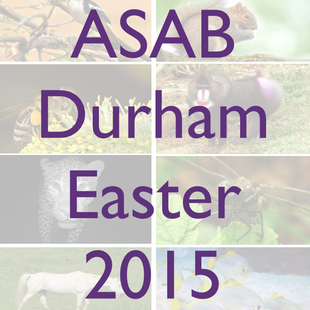 Official Twitter feed for the Association for the Study of Animal Behaviour's Easter 2015 conference and postgraduate workshop