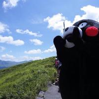 くまモンオヤジ (@steve_rat) 's Twitter Profile