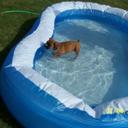 Collin Hill - @hillcollin2 - Twitter