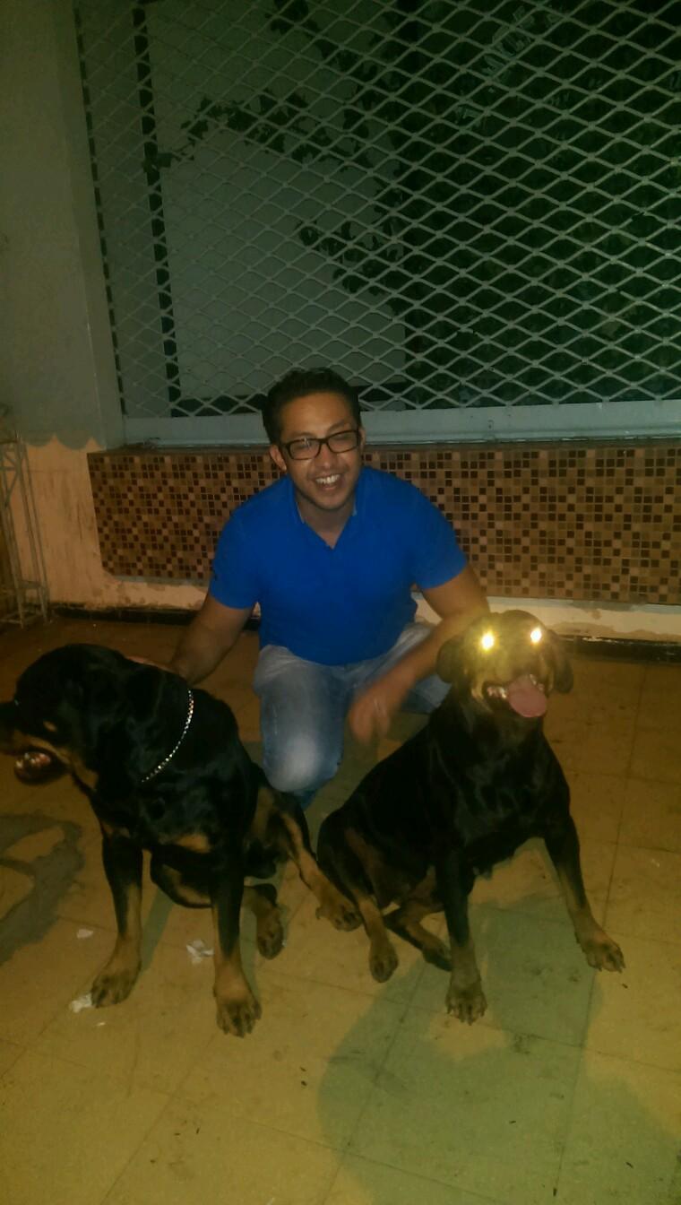 Elyaqoutii's profile picture. 