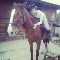 andrealovehorses (@andreitalagataw) 's Twitter Profile
