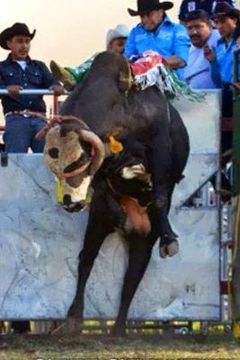 vaquero de corazón