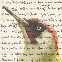 Michael SPECHT (@mispecht) 's Twitter Profile