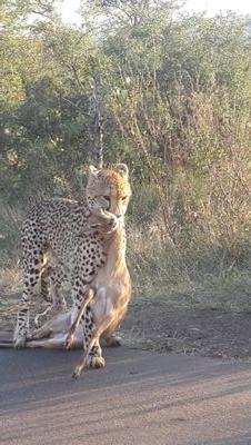 uzairangamia's profile picture. 