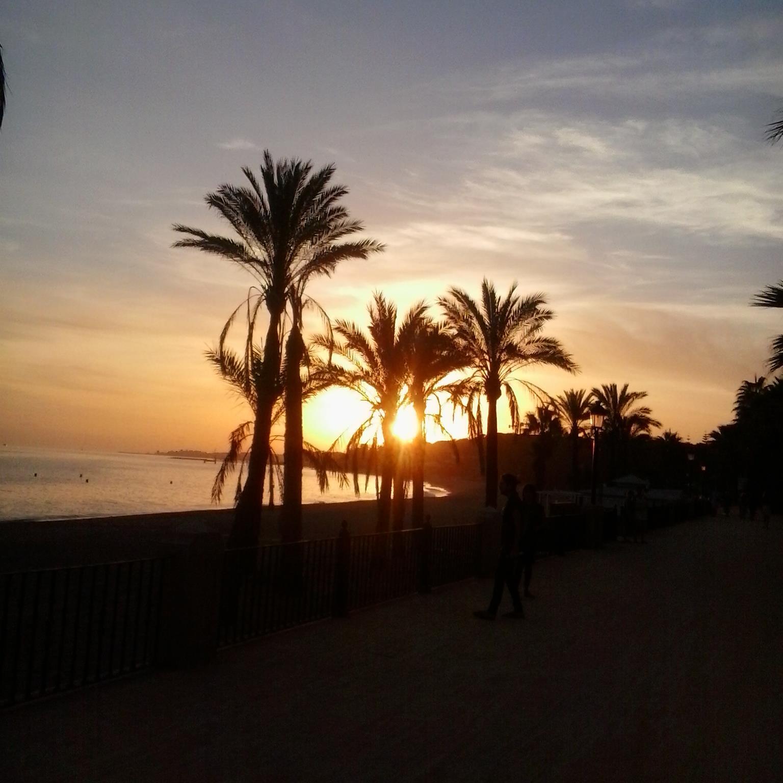 ManuelMartn8's profile picture. 