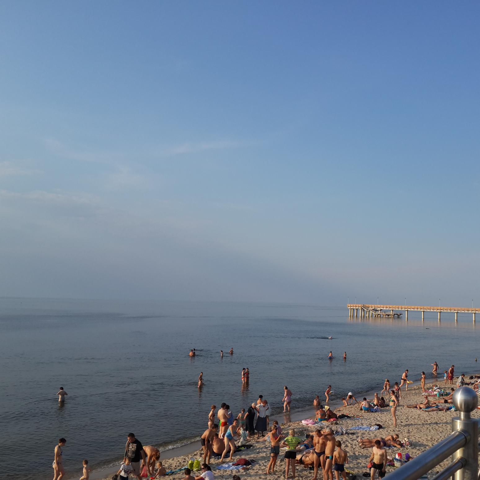 novikov039's profile picture. 