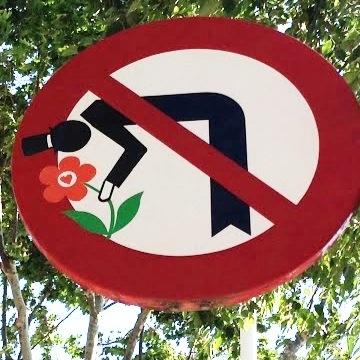 anna_quiros's profile picture. Educació, filosofia, ètica i política