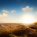 HAMZA BEY LÜTFEN - @asilsoy19911 - Twitter