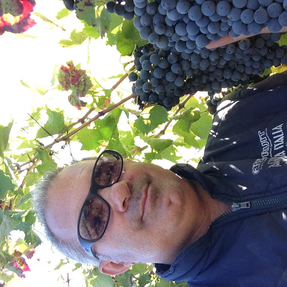 Perito Agrario