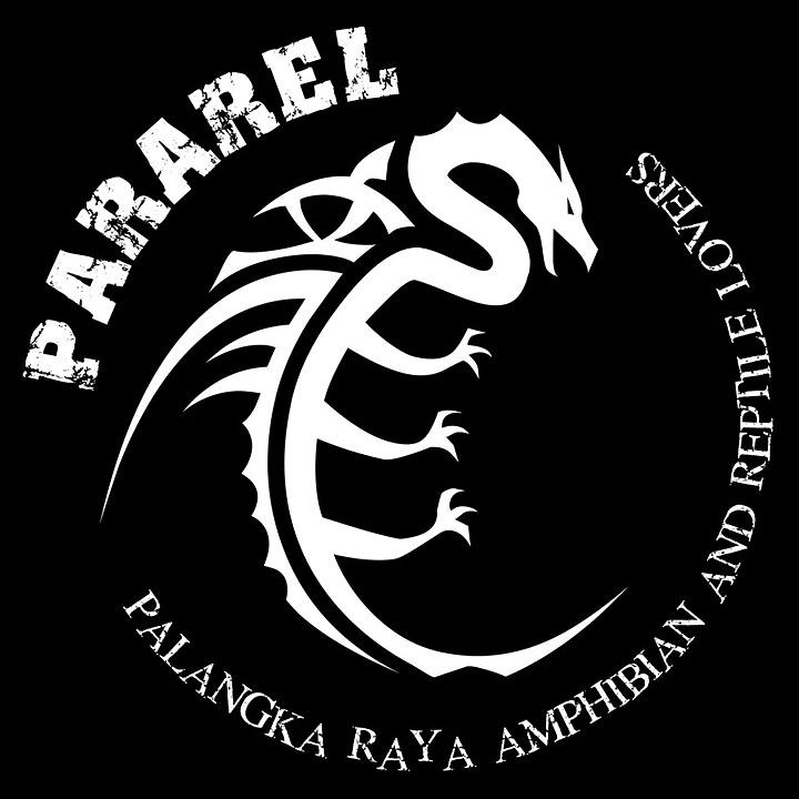 pararelborneo's profile picture. Palangka Raya Amphibian and Reptile Lovers 🐍 Gathering tiap jumat dan minggu pukul 4 sore di Taman Perjuangan Bangsa📱 : 082341333373 ⛺️ Palangka Raya