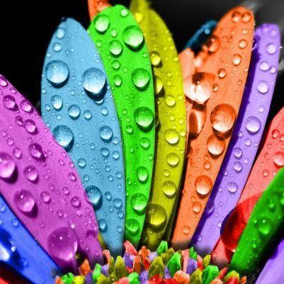 amerkaplan's profile picture. 