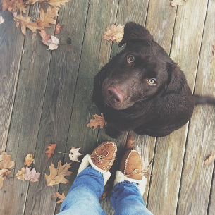 aspiring country trophy wife just trying to make it through the day to day with a home, a dog, and a blog