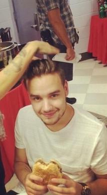 Harry, Liam, Niall, Louis e Zayn, simplesmente amo vcs