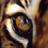 aptossf's profile image