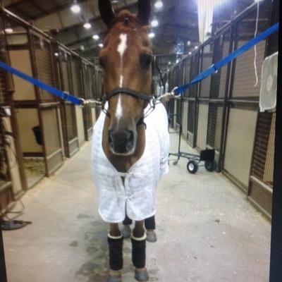 KelsiReese's profile picture. *accidentaly dies*