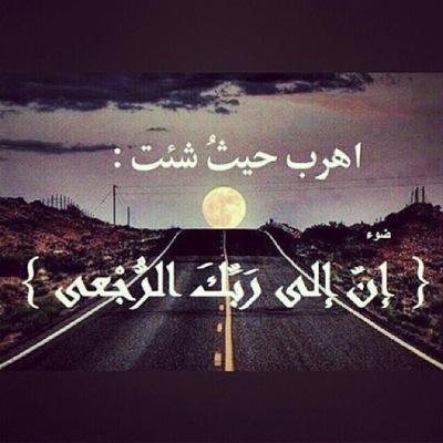 googoe7's profile picture. 