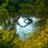 AlbaeRomero's profile image