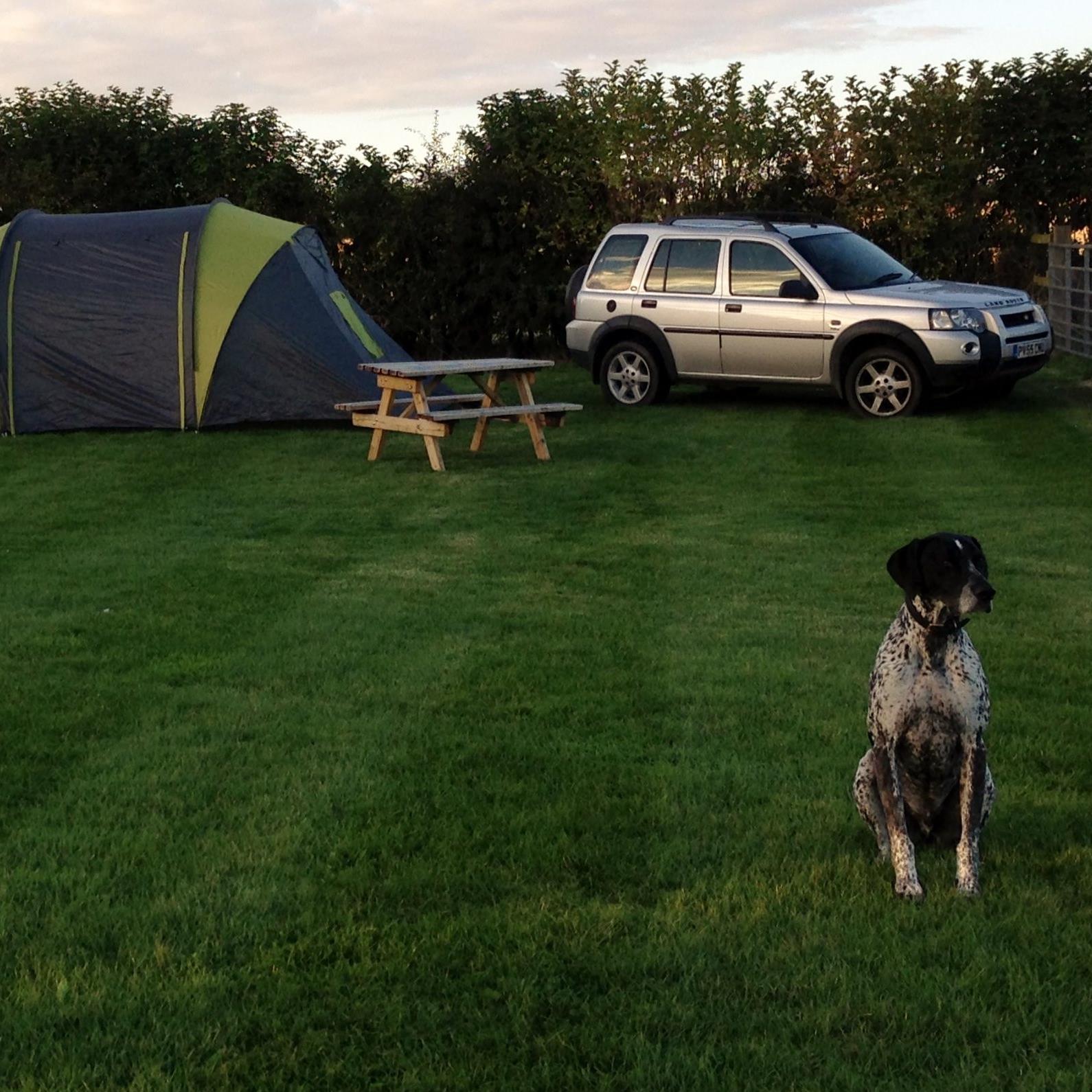 Independent campsite in East Yorkshire. Stunning views over the Yorkshire Wolds. 49 pitches, EHU, Caravan, Campervan, Tents, B&B, Rallies & WiFi