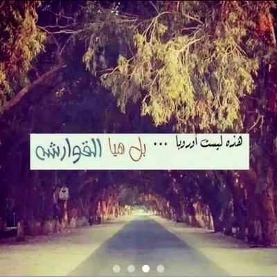 hamadshakifa's profile picture. 