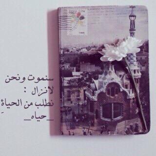 وإن غفت عيني للابد فأجعلها يا الله غفوة للجنة . http://t.co/gksLKHYcH1